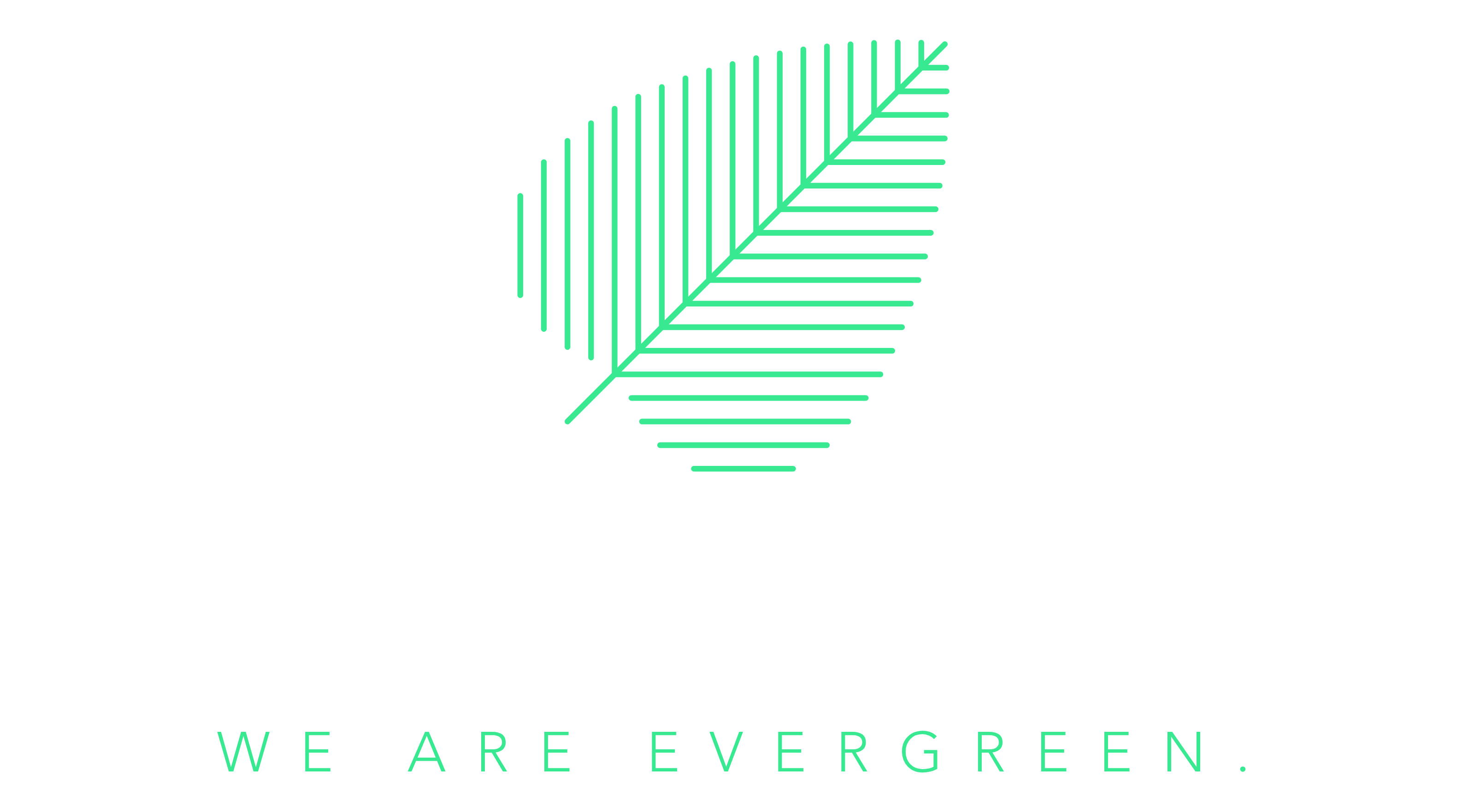 Evergreen Trends
